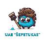 fasadu